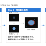 画像の分割、蛍光増加量の算出、フォルダ一括処理の3ステップを示す模式図
